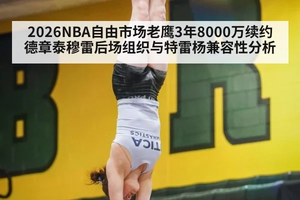 2026NBA自由市场老鹰3年8000万续约德章泰穆雷后场组织与特雷杨兼容性分析